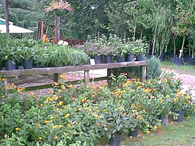 beds1rev